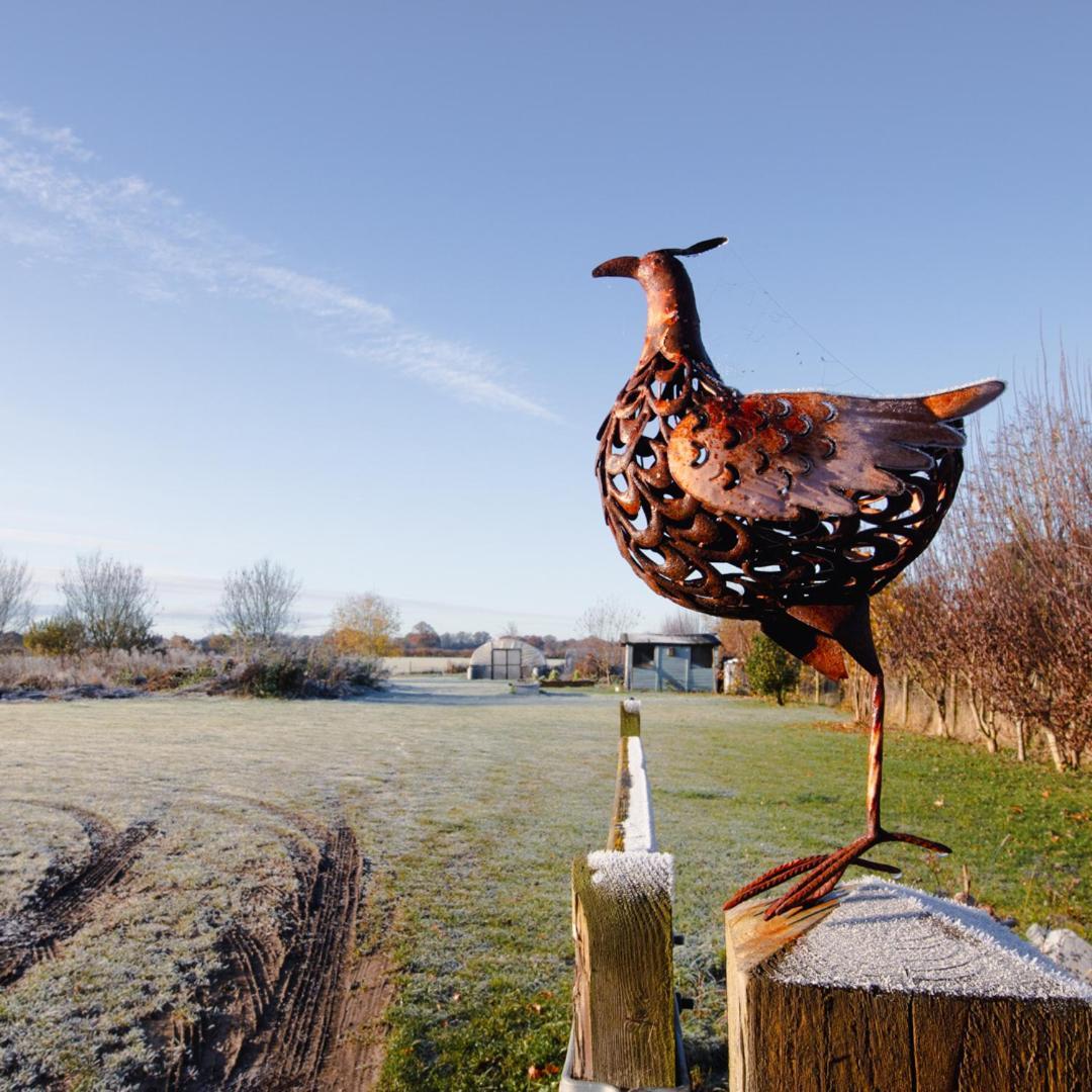 The Pheasant Public House & Hotel Gestingthorpe Eksteriør billede
